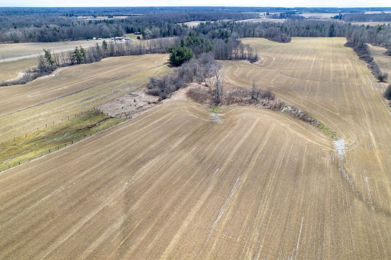 52339 Talbot Line, Malahide, Ontario  N5H 2R1 - Photo 5 - RP9068666042