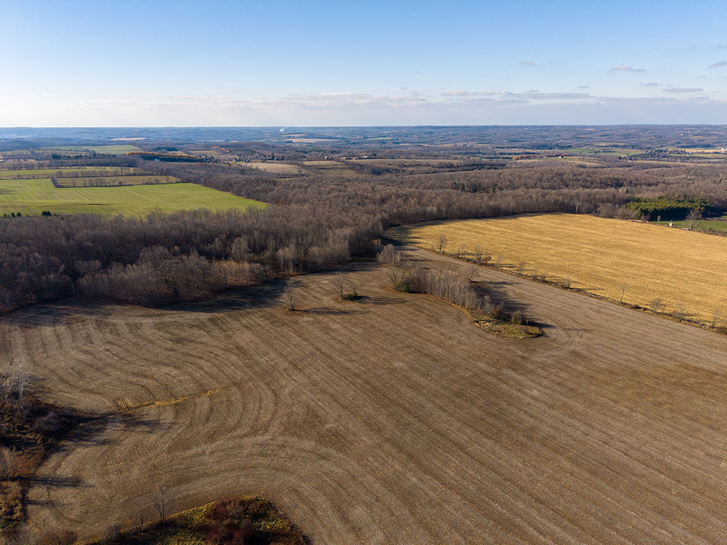 137204 Grey Road 12, Meaford, Ontario    - Photo 28 - RP8409939069