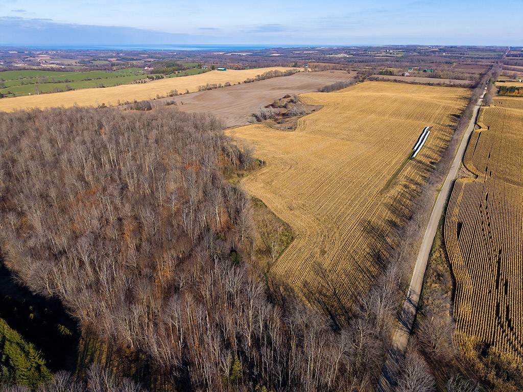 137204 Grey Road 12, Meaford, Ontario    - Photo 31 - RP8409939069