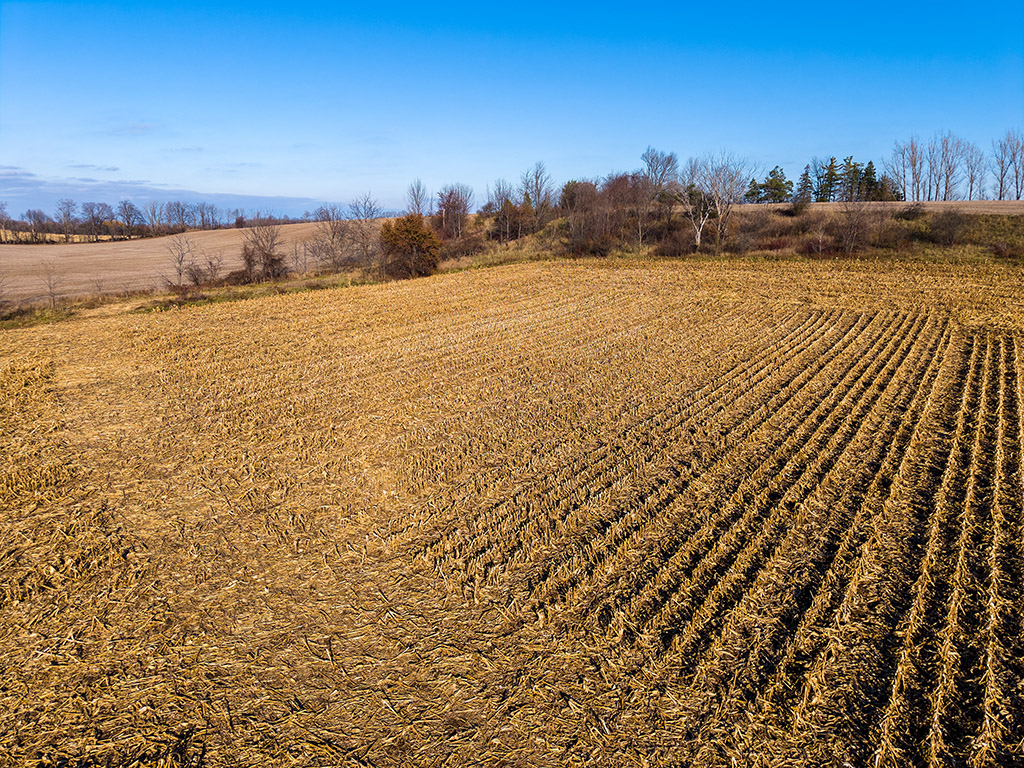 137204 Grey Road 12, Meaford, Ontario    - Photo 32 - RP8409939069