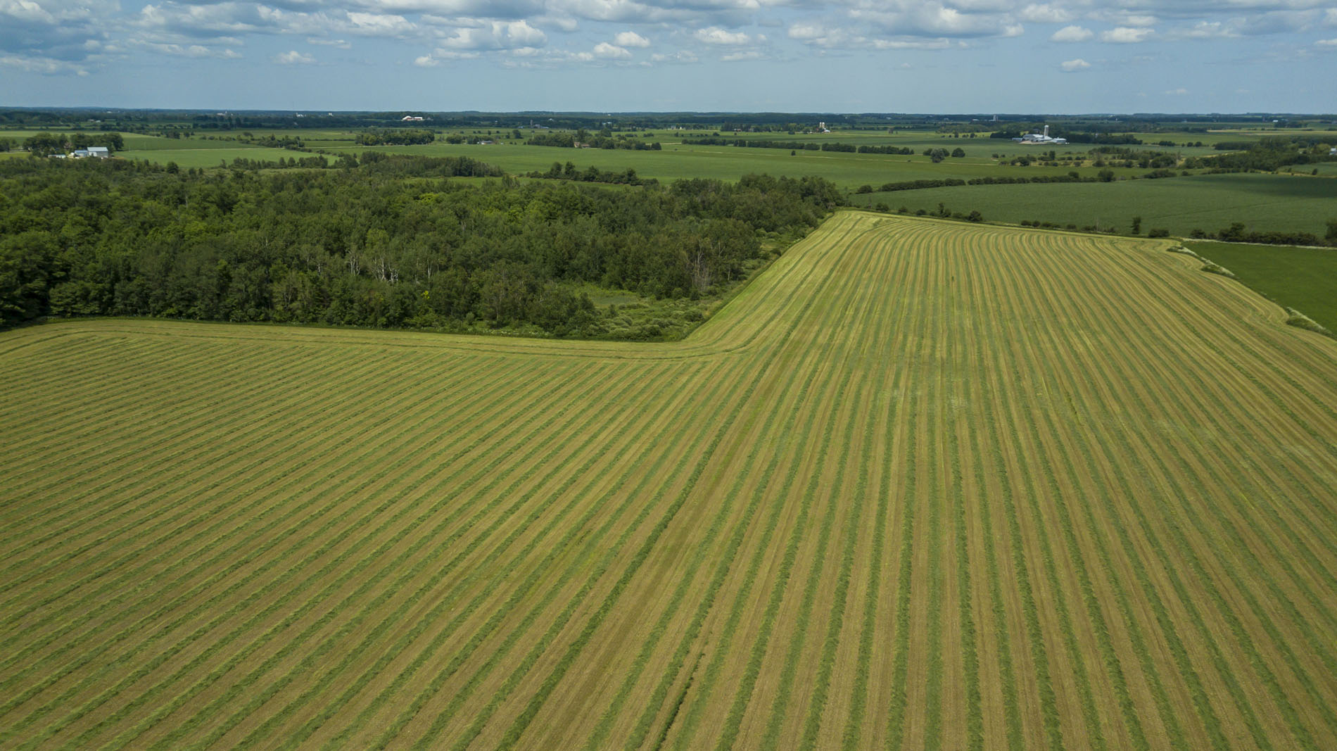 9017 Hwy 6, Wellington, Ontario  N0G 2E0 - Photo 9 - RP6575201342