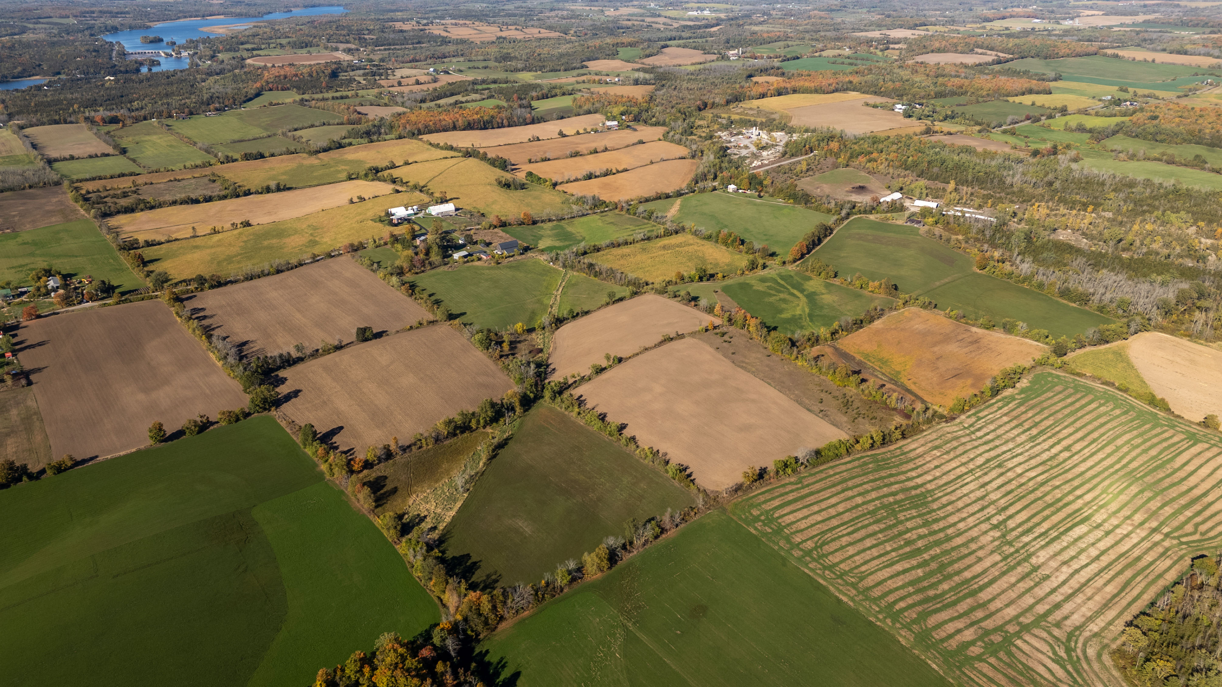 1625 6th Line E, Campbellford, Ontario    - Photo 5 - RP9021326212