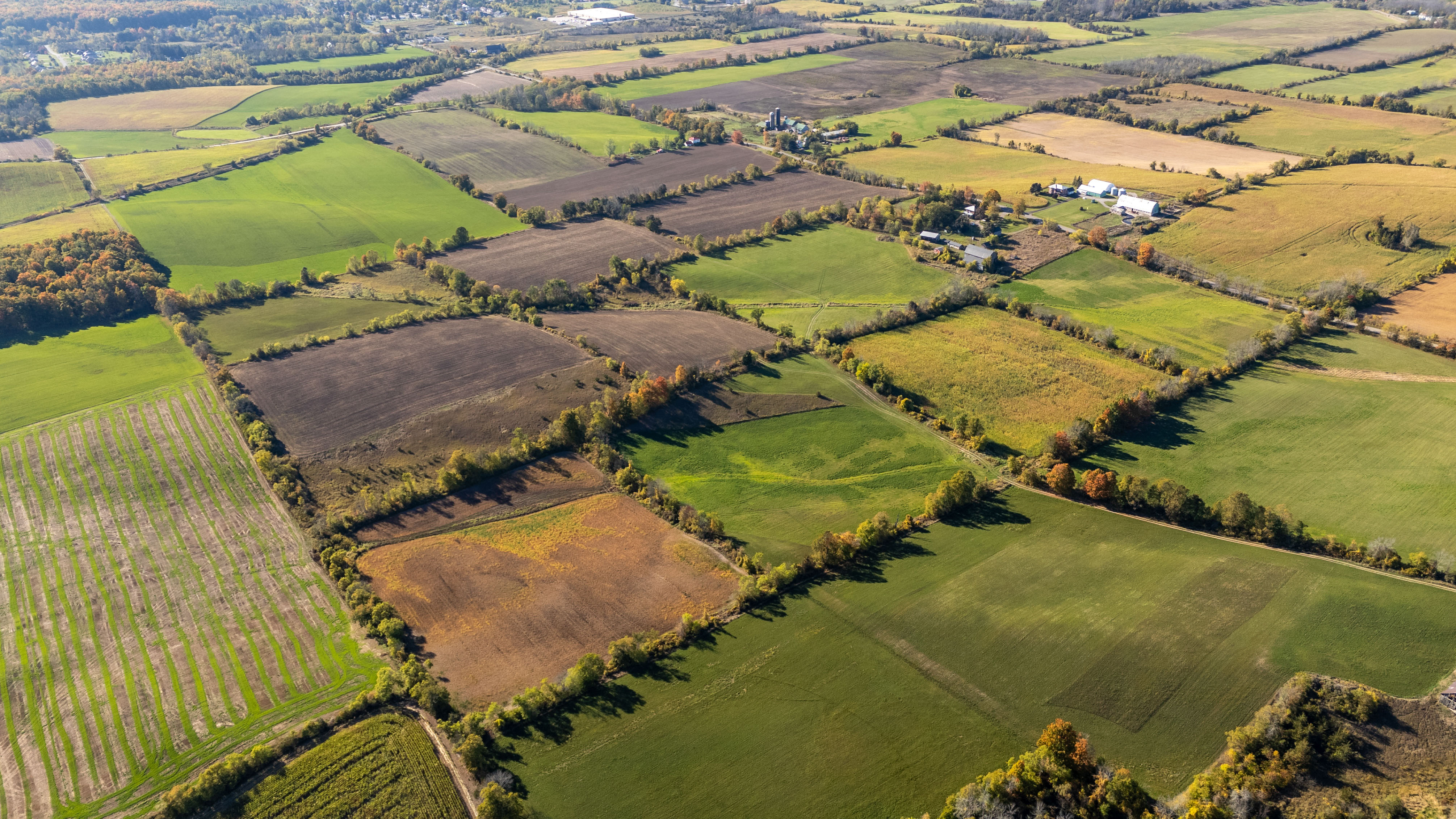 1625 6th Line E, Campbellford, Ontario    - Photo 6 - RP9021326212