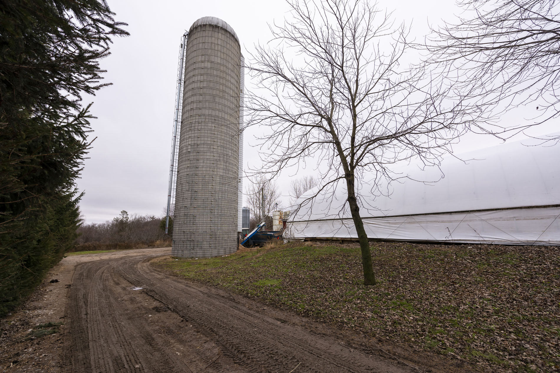 293538 Culloden Line, Ingersoll, Ontario  N0J 1N0 - Photo 27 - RP5022612546