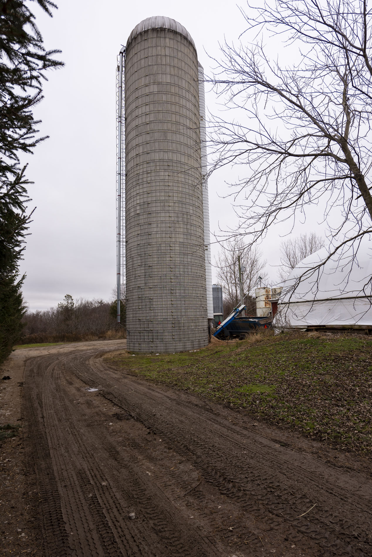 293538 Culloden Line, Ingersoll, Ontario  N0J 1N0 - Photo 28 - RP5022612546