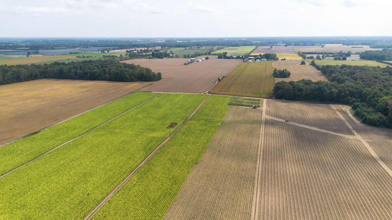 145467/145497 Potters Rd, Tillsonburg, Ontario    - Photo 10 - RP2488556947