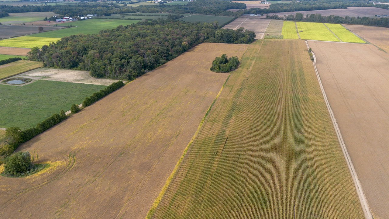 145467/145497 Potters Rd, Tillsonburg, Ontario    - Photo 3 - RP2488556947