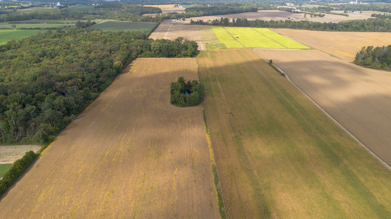 145467/145497 Potters Rd, Tillsonburg, Ontario    - Photo 4 - RP2488556947