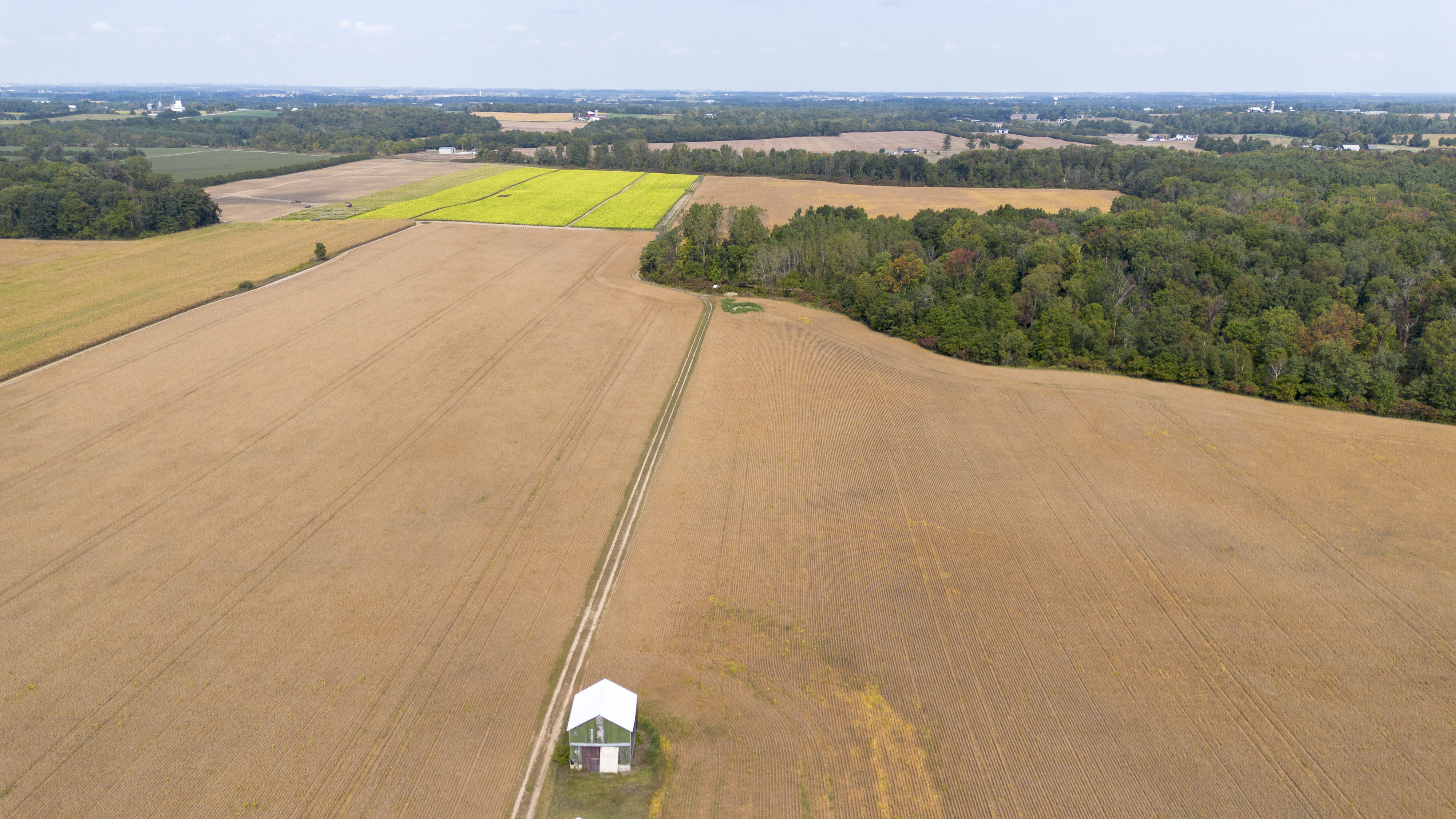 145467/145497 Potters Rd, Tillsonburg, Ontario    - Photo 40 - RP2488556947