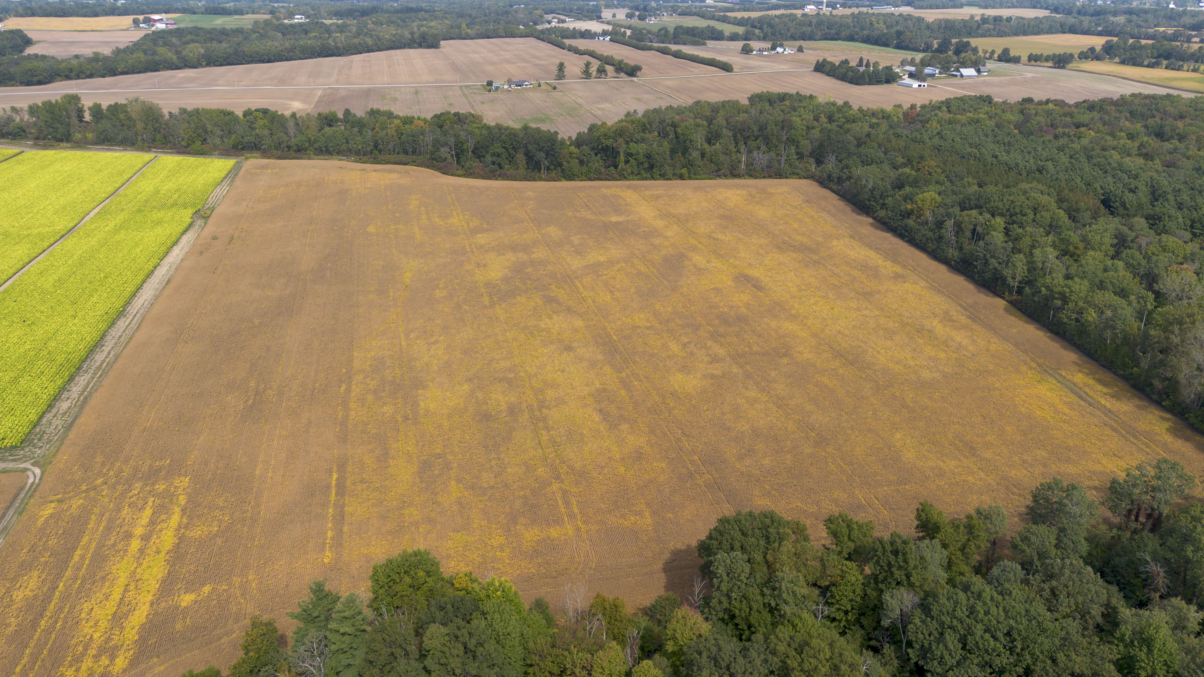 145467/145497 Potters Rd, Tillsonburg, Ontario    - Photo 41 - RP2488556947