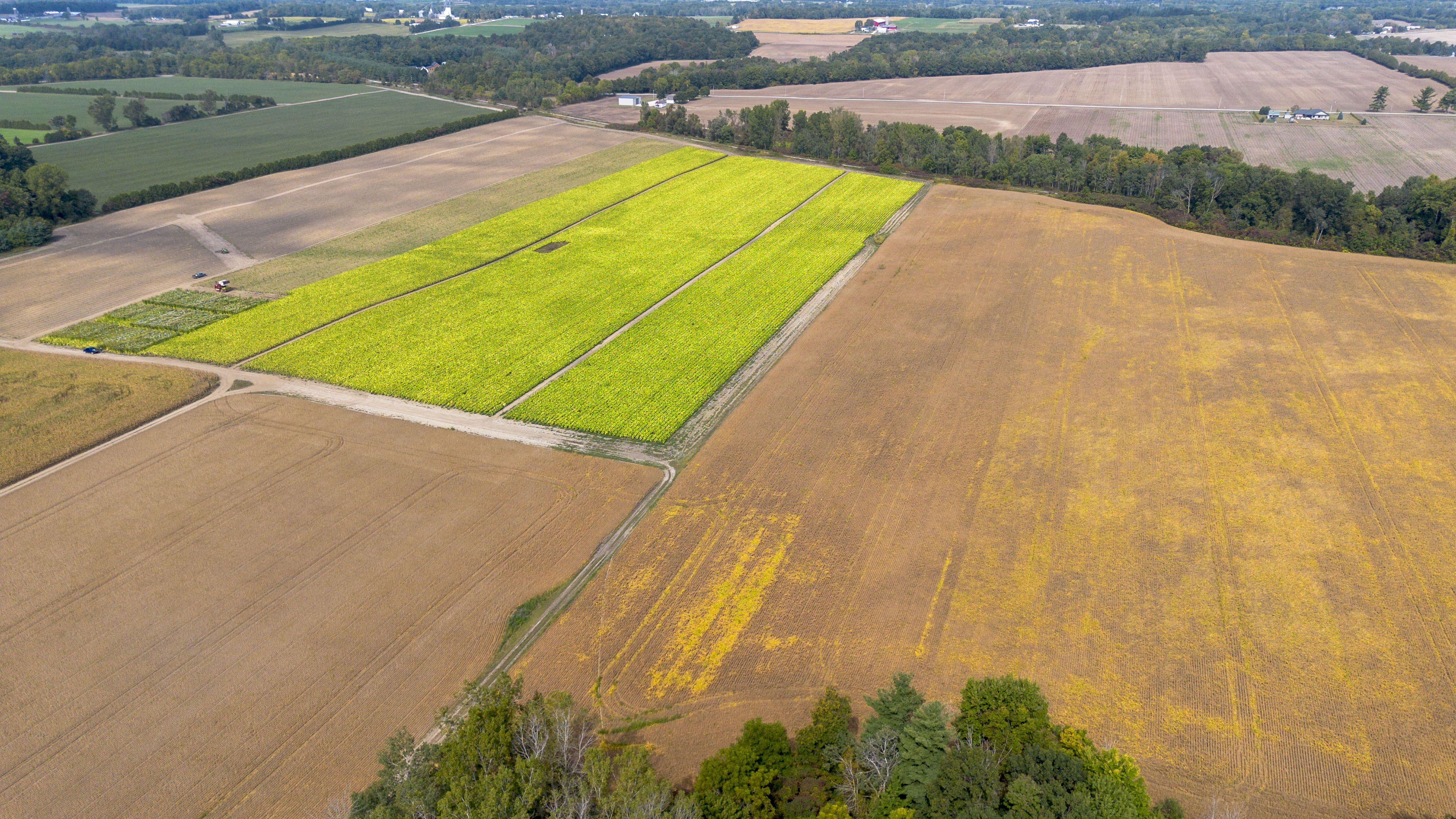 145467/145497 Potters Rd, Tillsonburg, Ontario    - Photo 42 - RP2488556947