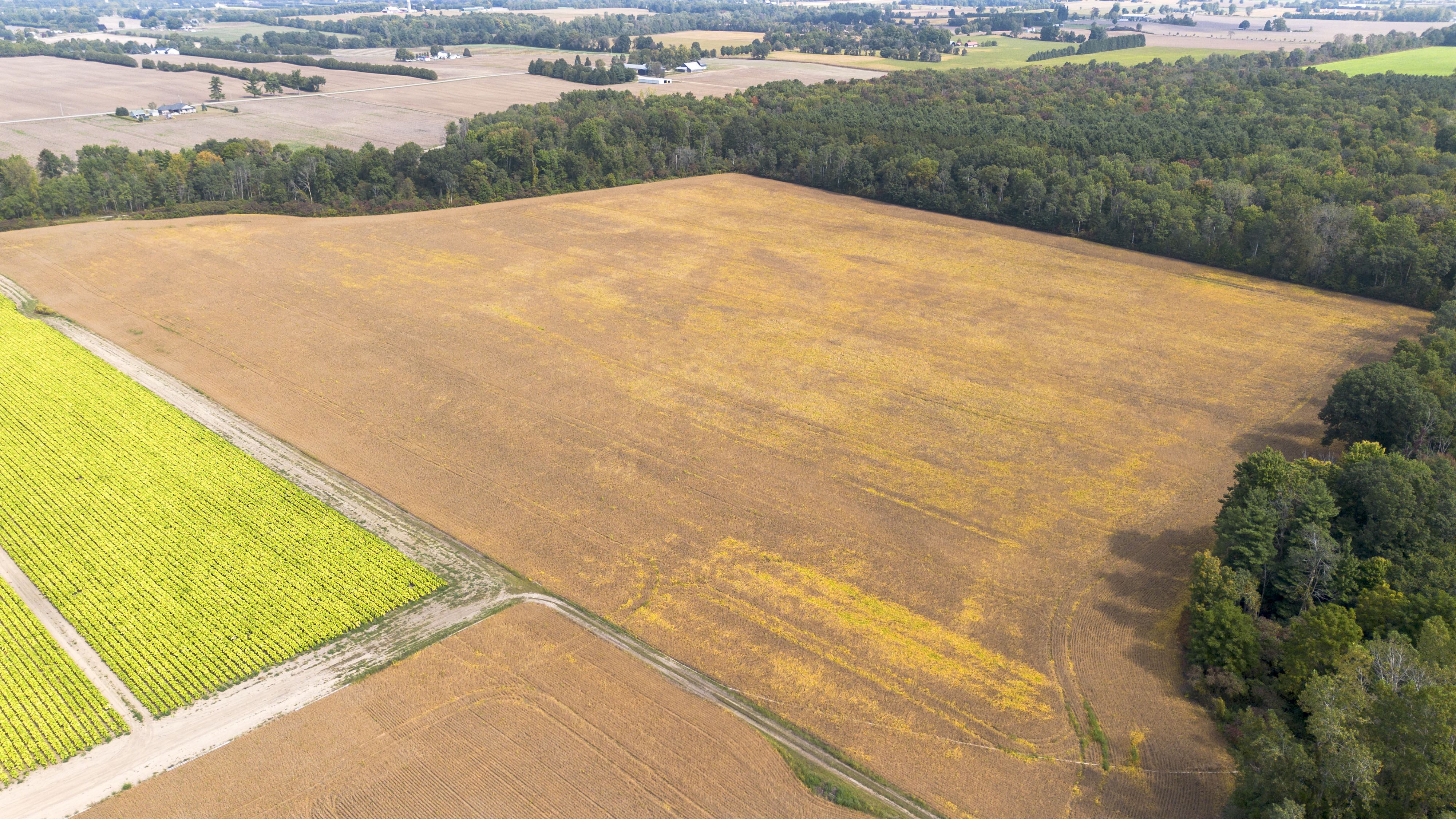 145467/145497 Potters Rd, Tillsonburg, Ontario    - Photo 44 - RP2488556947