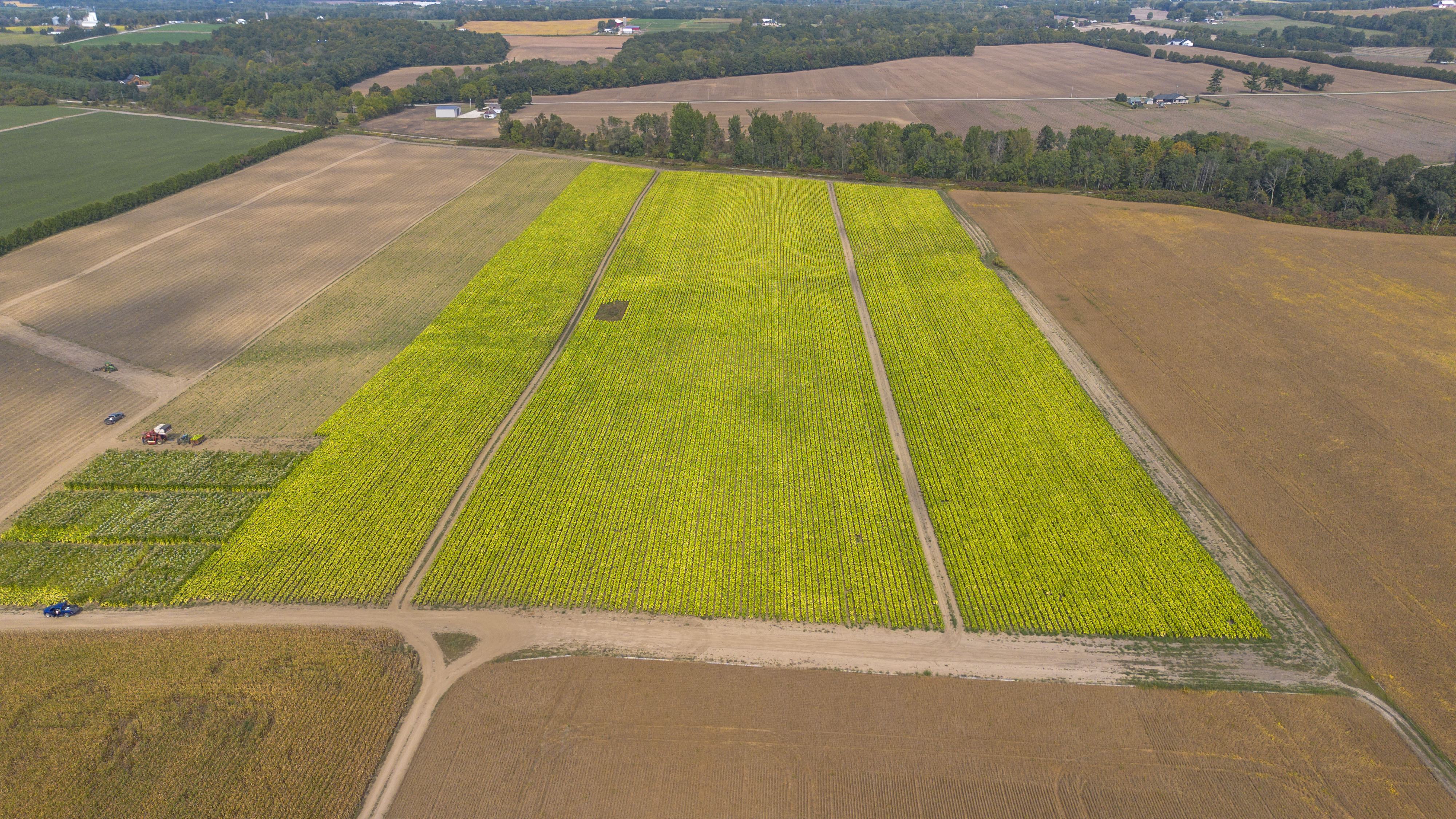 145467/145497 Potters Rd, Tillsonburg, Ontario    - Photo 45 - RP2488556947