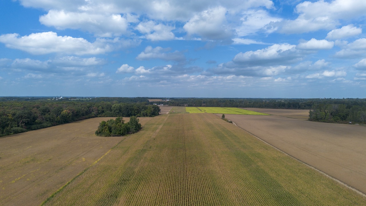 145467/145497 Potters Rd, Tillsonburg, Ontario    - Photo 5 - RP2488556947