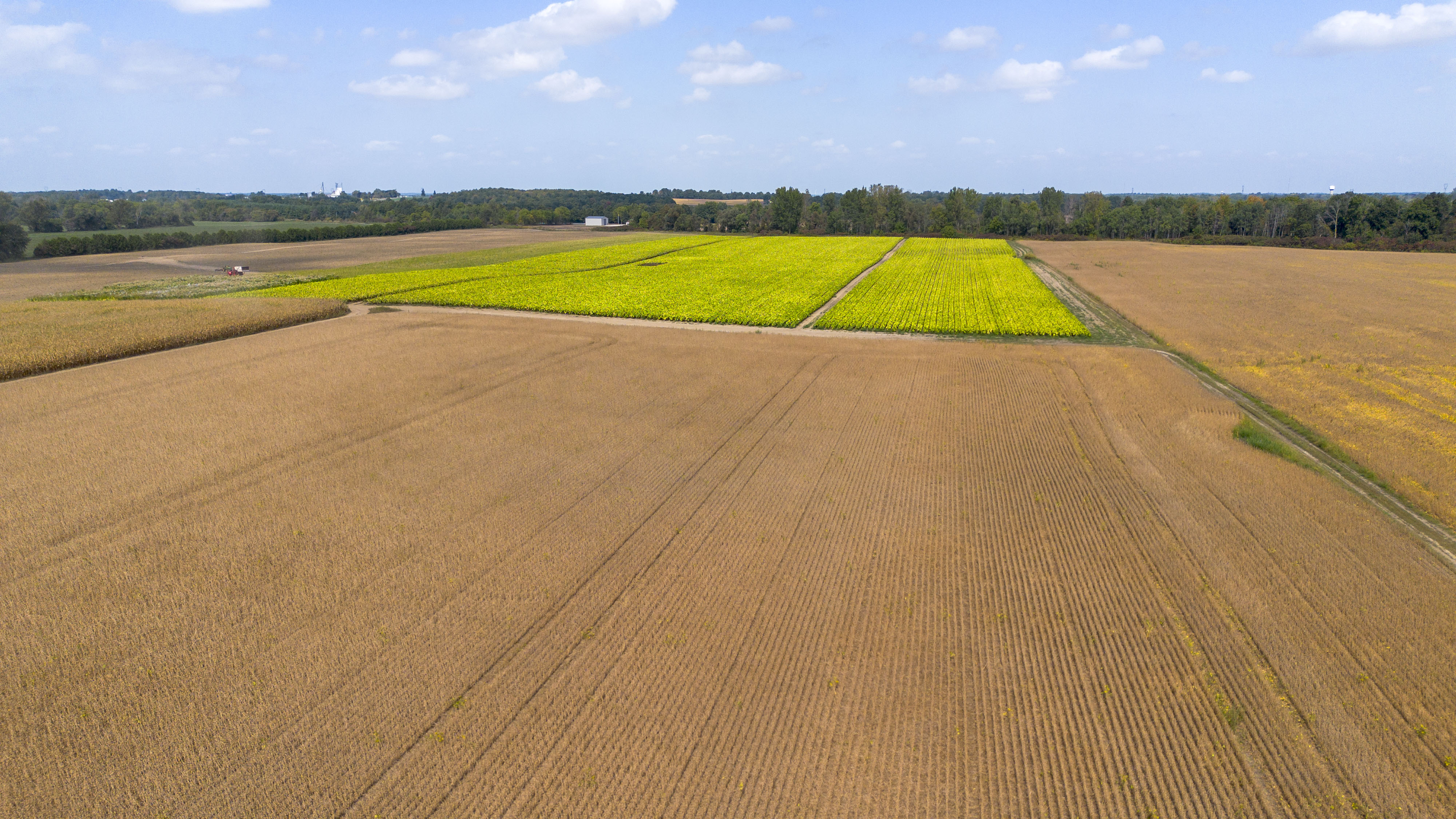 145467/145497 Potters Rd, Tillsonburg, Ontario    - Photo 52 - RP2488556947