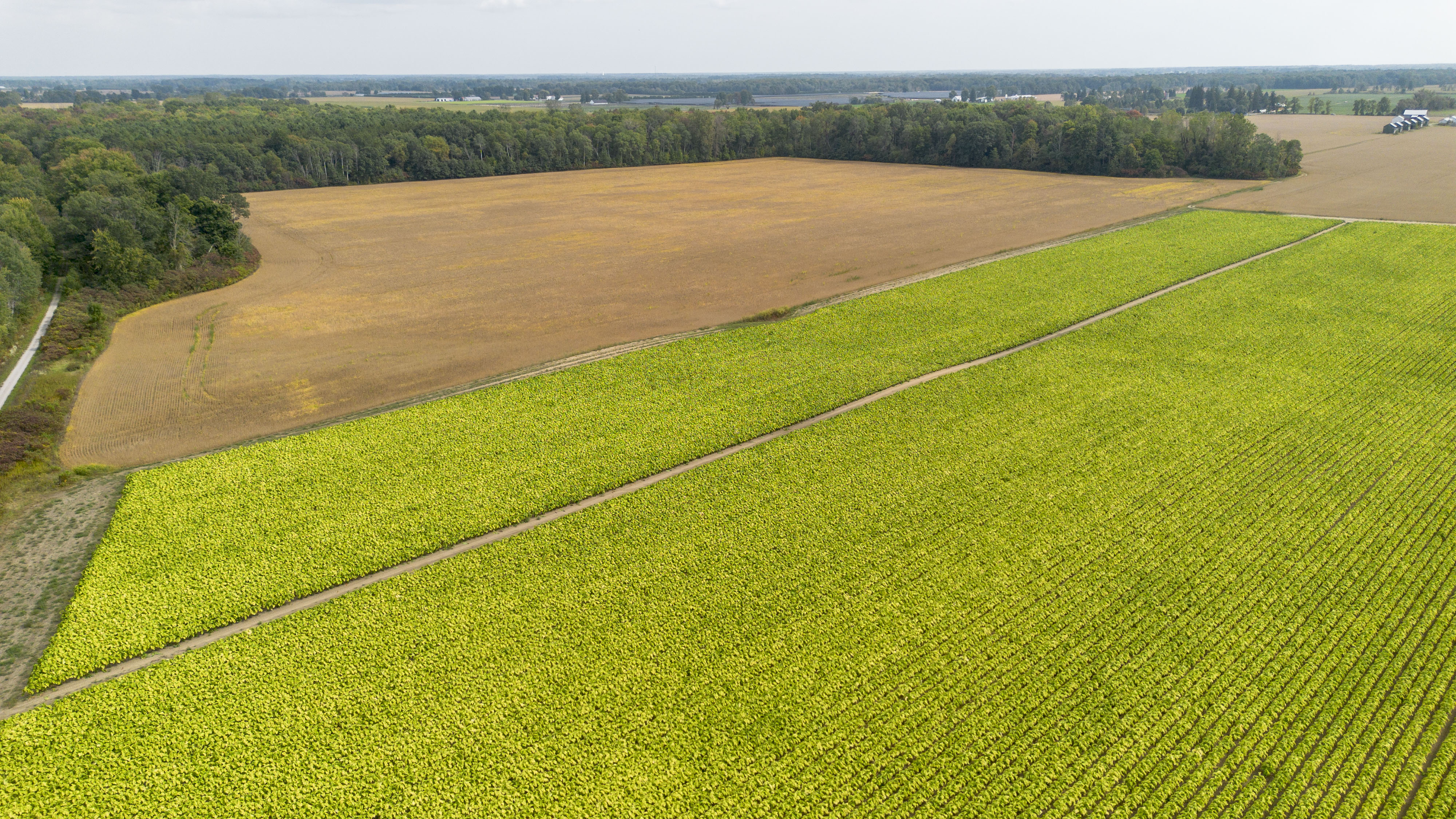 145467/145497 Potters Rd, Tillsonburg, Ontario    - Photo 53 - RP2488556947