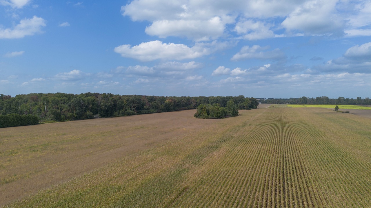 145467/145497 Potters Rd, Tillsonburg, Ontario    - Photo 6 - RP2488556947