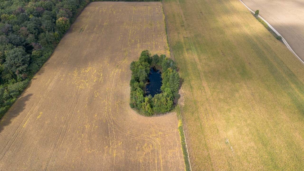 145467/145497 Potters Rd, Tillsonburg, Ontario    - Photo 7 - RP2488556947