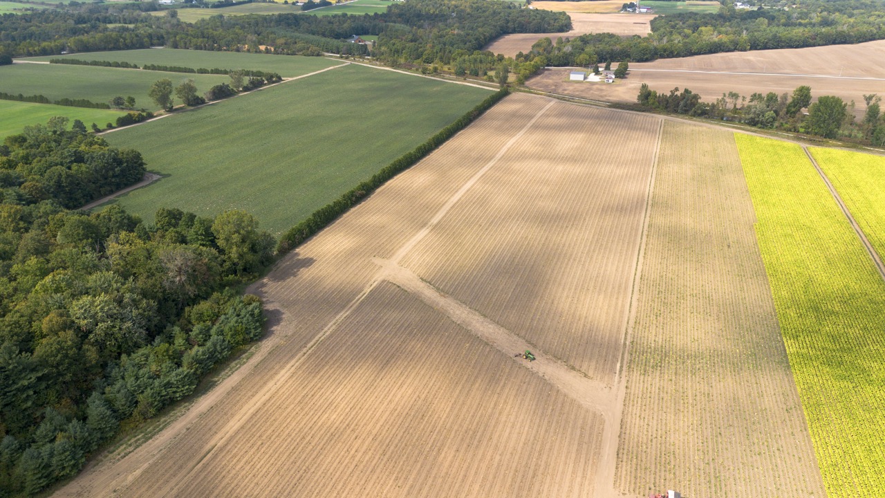 145467/145497 Potters Rd, Tillsonburg, Ontario    - Photo 8 - RP2488556947