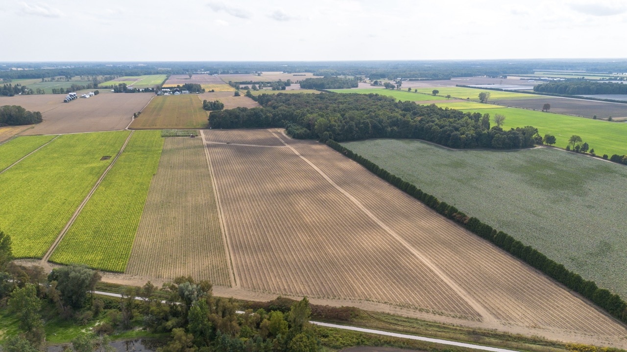 145467/145497 Potters Rd, Tillsonburg, Ontario    - Photo 9 - RP2488556947