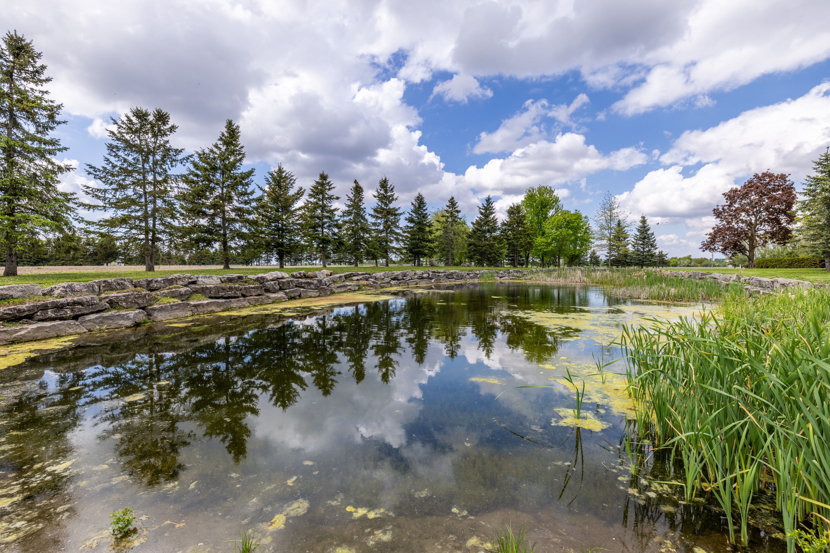 12374 County Rd 43, Winchester, Ontario    - Photo 11 - RP2930907062