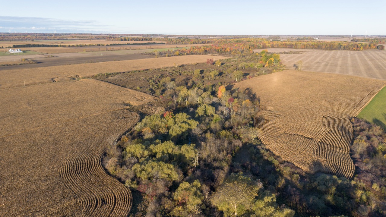 15859 Talbot Trail, Muirkirk, Ontario    - Photo 11 - RP637349308