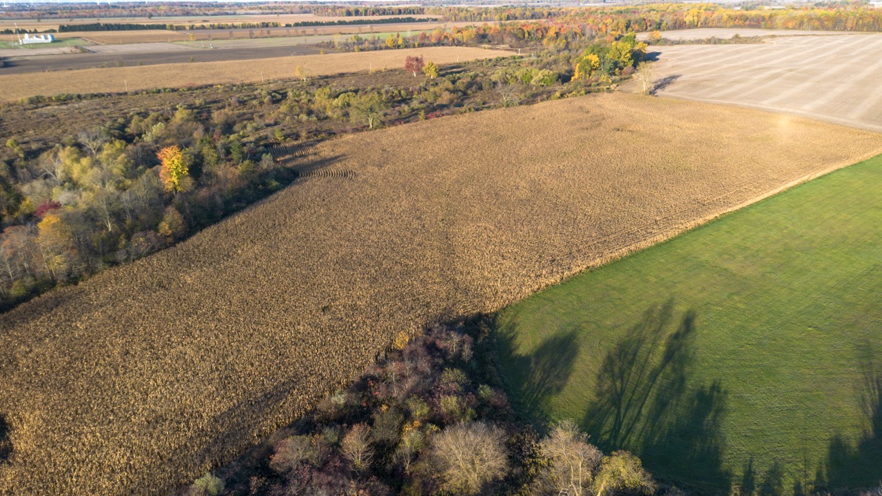 15859 Talbot Trail, Muirkirk, Ontario    - Photo 12 - RP637349308