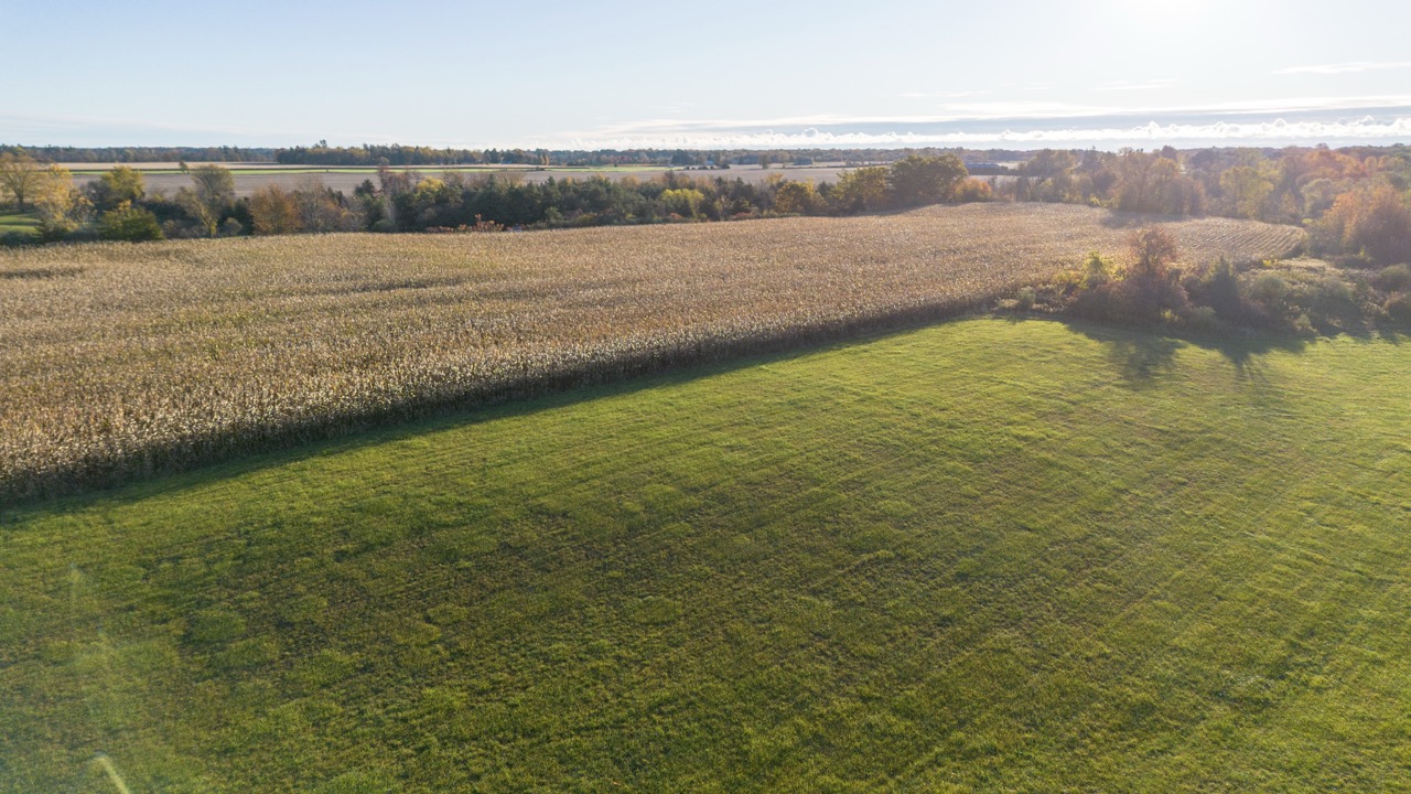 15859 Talbot Trail, Muirkirk, Ontario    - Photo 13 - RP637349308