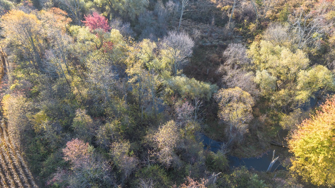 15859 Talbot Trail, Muirkirk, Ontario    - Photo 14 - RP637349308