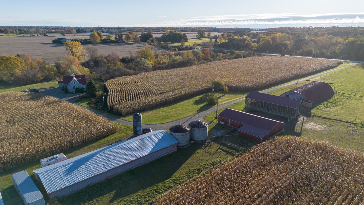 15859 Talbot Trail, Muirkirk, Ontario    - Photo 15 - RP637349308