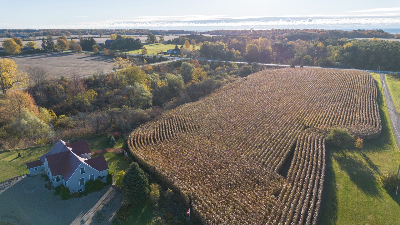 15859 Talbot Trail, Muirkirk, Ontario    - Photo 16 - RP637349308