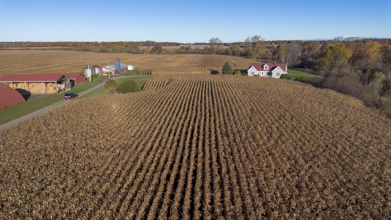 15859 Talbot Trail, Muirkirk, Ontario    - Photo 17 - RP637349308