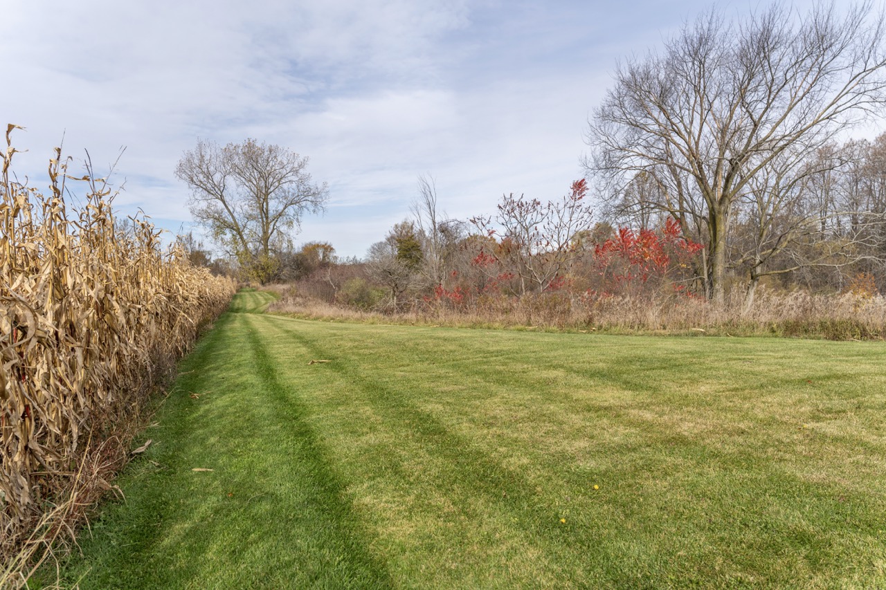 15859 Talbot Trail, Muirkirk, Ontario    - Photo 29 - RP637349308