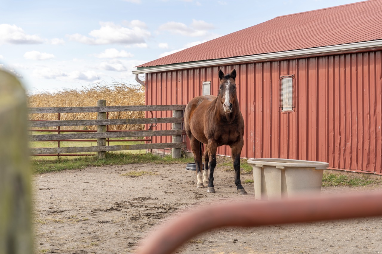 15859 Talbot Trail, Muirkirk, Ontario    - Photo 34 - RP637349308
