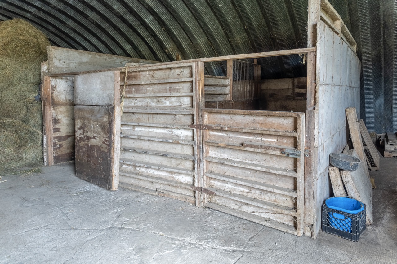 15859 Talbot Trail, Muirkirk, Ontario    - Photo 38 - RP637349308