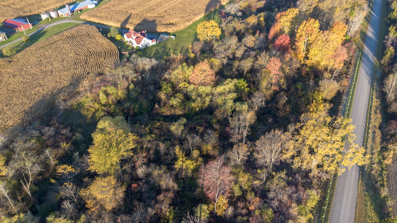 15859 Talbot Trail, Muirkirk, Ontario    - Photo 6 - RP637349308