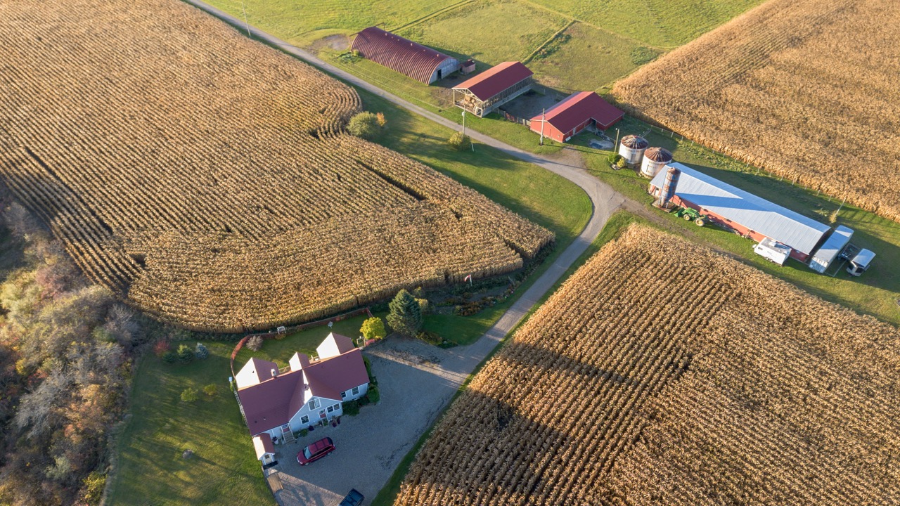 15859 Talbot Trail, Muirkirk, Ontario    - Photo 9 - RP637349308