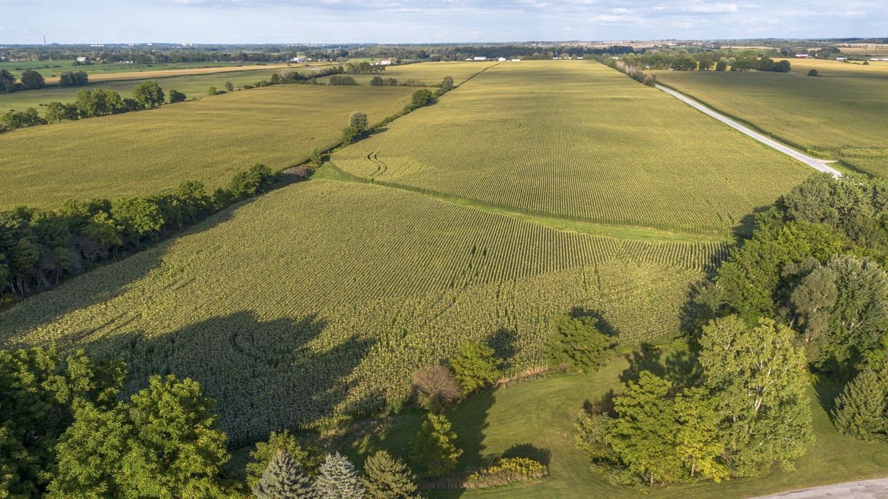 7496 Decker Dr, London, Ontario    - Photo 11 - RP585519645