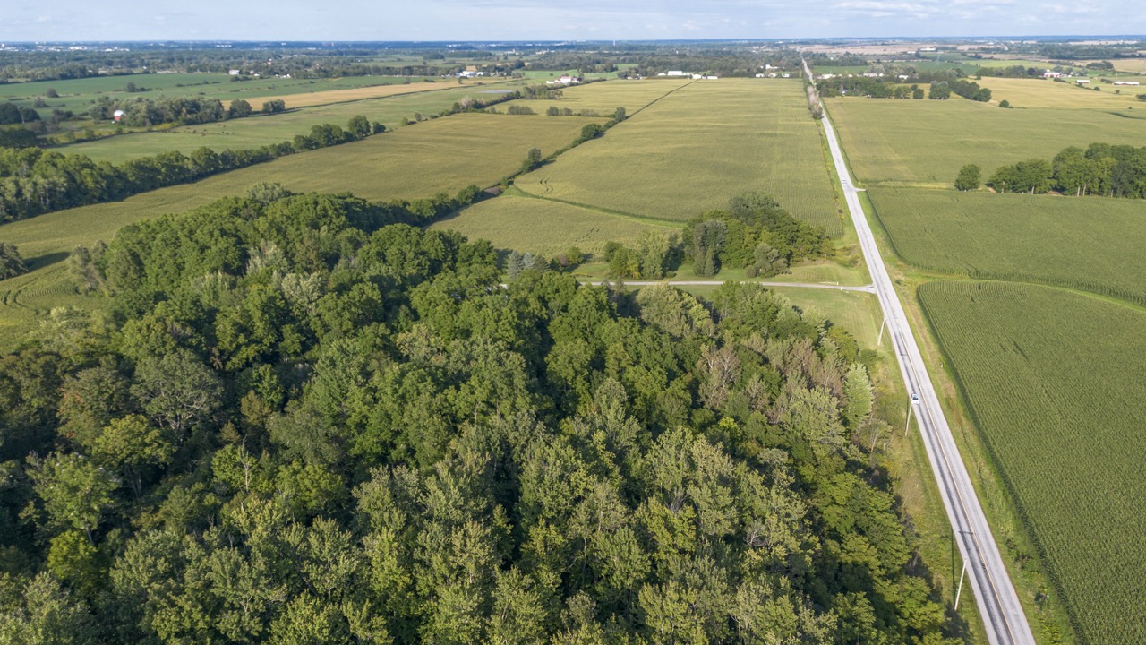 7496 Decker Dr, London, Ontario    - Photo 4 - RP585519645