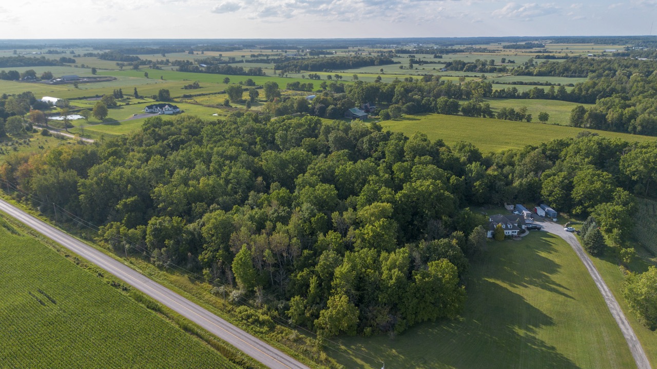 7496 Decker Dr, London, Ontario    - Photo 5 - RP585519645