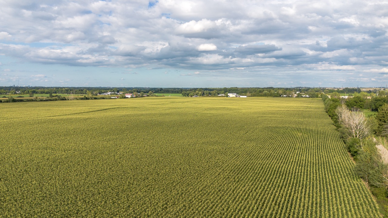 7496 Decker Dr, London, Ontario    - Photo 8 - RP585519645