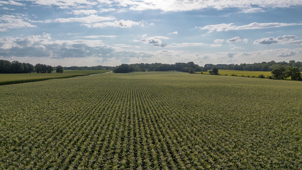 7496 Decker Dr, London, Ontario    - Photo 9 - RP585519645