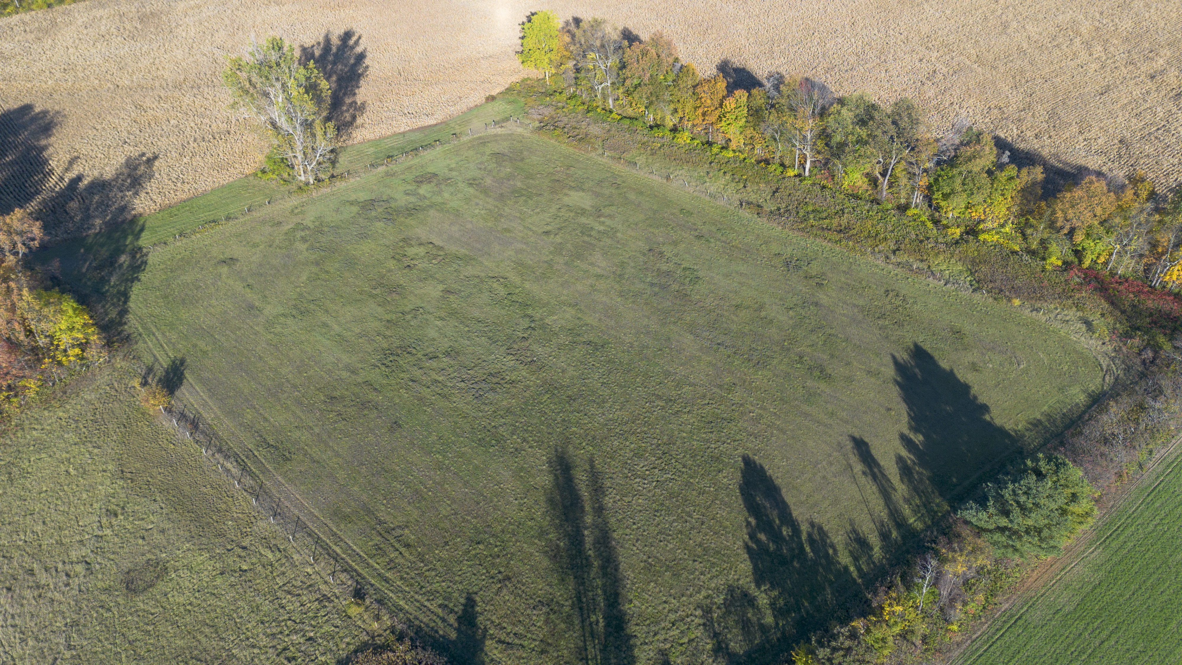 1496 Elgin County Rd 55, Norfolk County, Ontario    - Photo 5 - RP4948409142