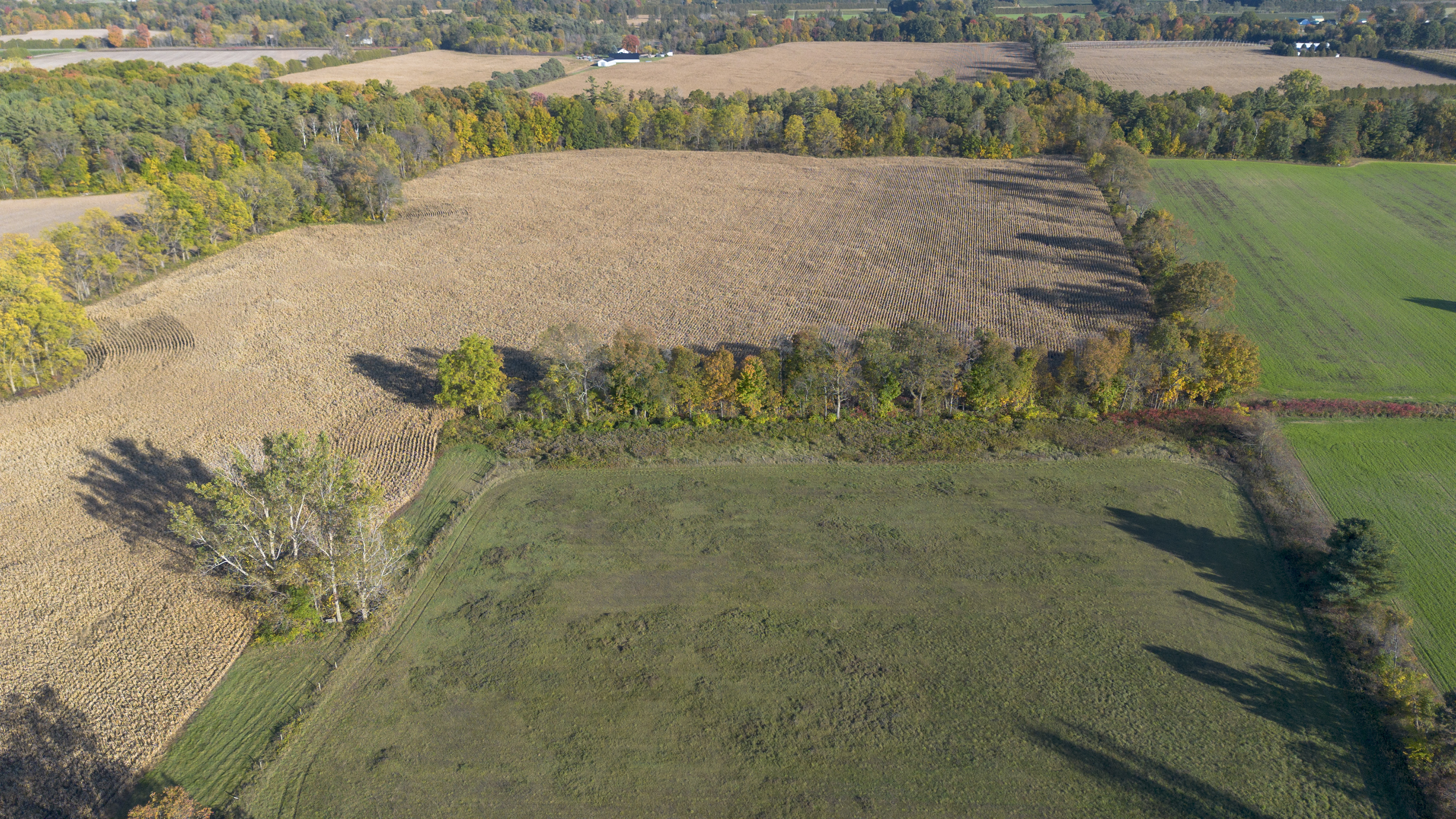 1496 Elgin County Rd 55, Norfolk County, Ontario    - Photo 7 - RP4948409142