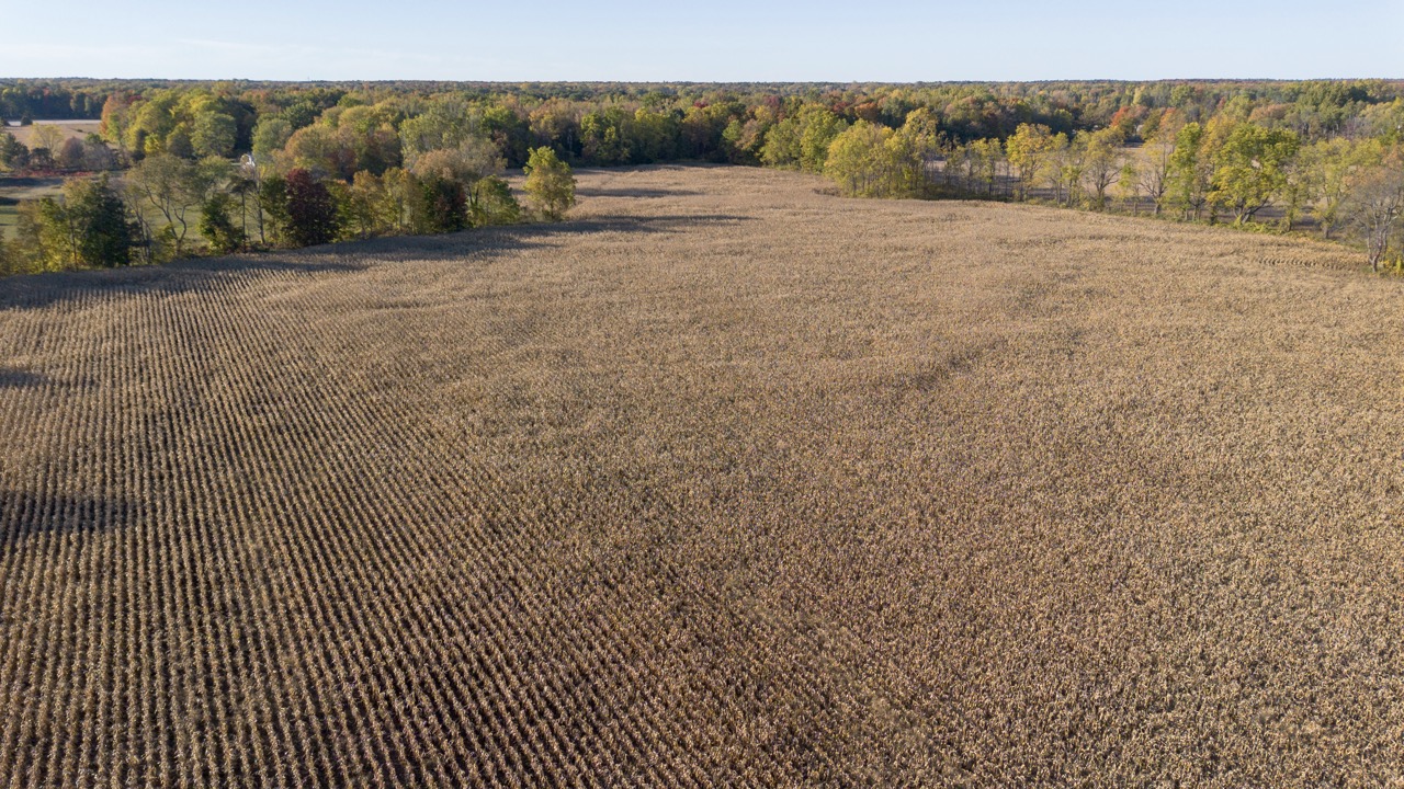 1496 Elgin County Rd 55, Norfolk County, Ontario    - Photo 8 - RP4948409142