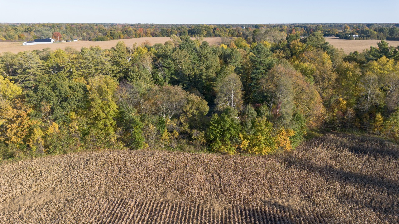 1496 Elgin County Rd 55, Norfolk County, Ontario    - Photo 9 - RP4948409142