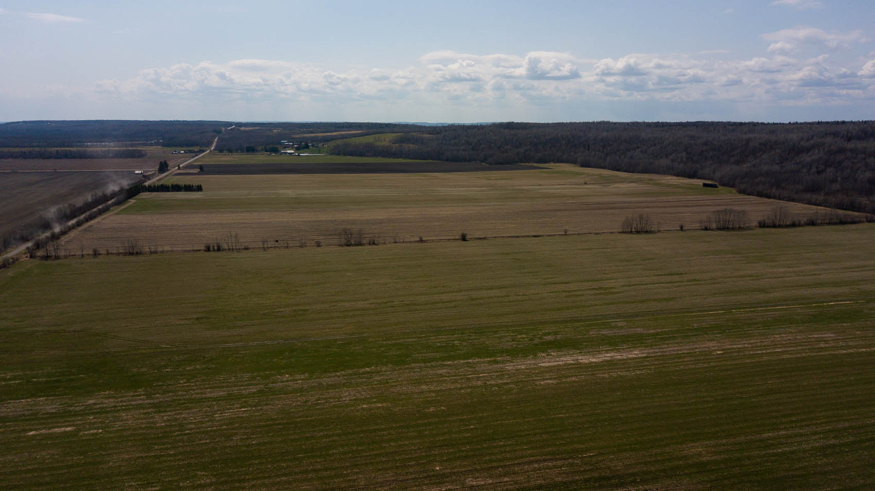 1 Jelly Road, New Liskeard, Ontario  P0J 1P0 - Photo 8 - RP8143277181