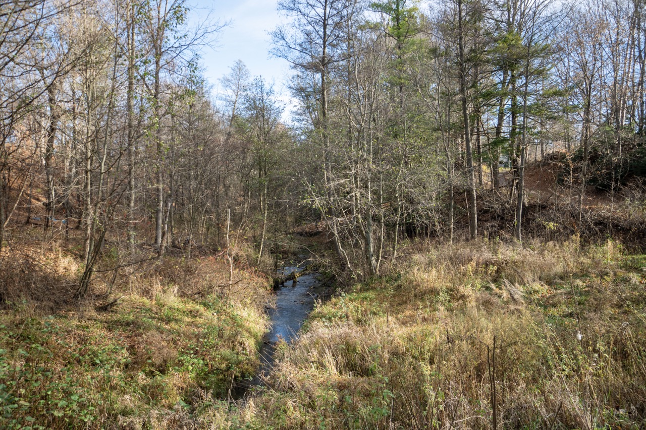 50 Silverhill Side Road, Langton, Ontario  N0E 1G0 - Photo 14 - RP2642013261