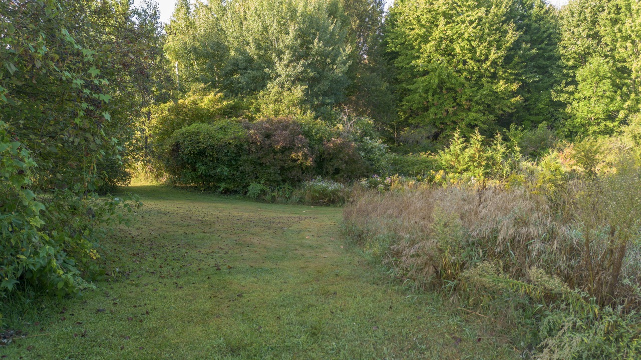 846635 Township Rd 9, Bright, Ontario    - Photo 16 - RP2542842980