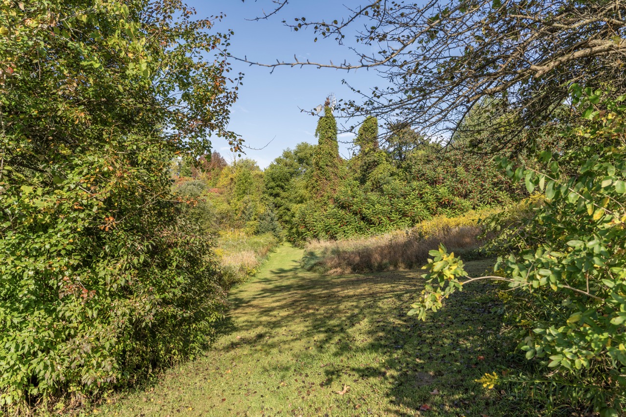 846635 Township Rd 9, Bright, Ontario    - Photo 17 - RP2542842980